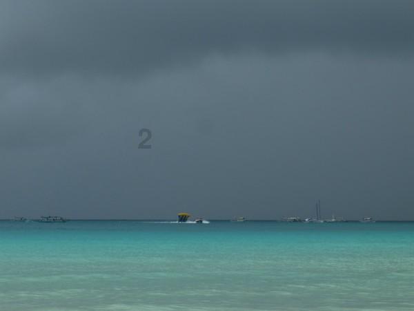 春雨直播app